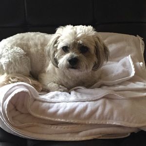 Meet your Posher, Anushi